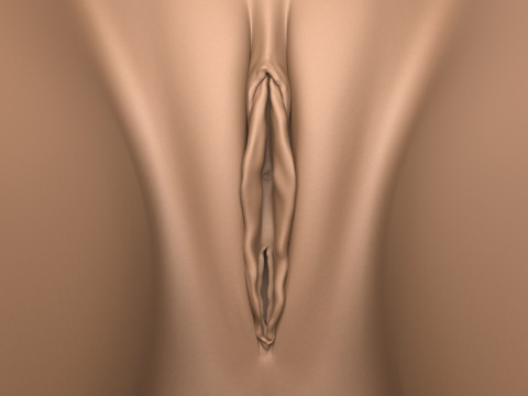 High Detailed 3D Print Ready Woman Vagina 3D Print Model