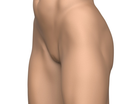 High Detailed 3D Print Ready Woman Vagina 3D Print Model