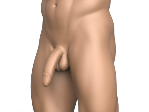 High Detailed 3D Print Ready Man Penis 3D Принт Модель