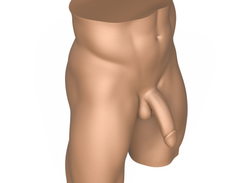High Detailed 3D Print Ready Man Penis 3D Принт Модель
