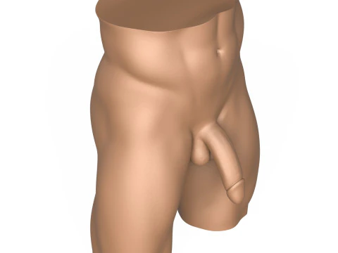 High Detailed 3D Print Ready Man Penis 3D Print Model