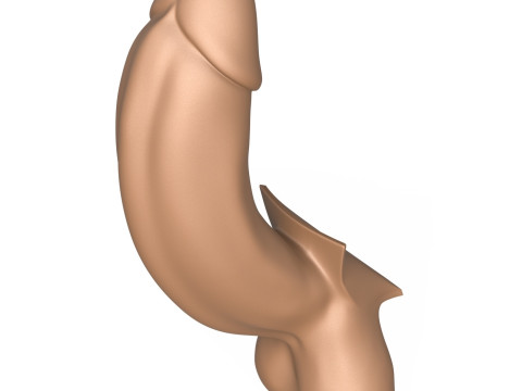 3D Print Ready Full Erect Penis 3Dプリントモデル