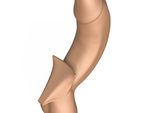 3D Print Ready Full Erect Penis 3Dプリントモデル