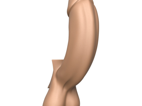 3D Print Ready Full Erect Penis 3Dプリントモデル