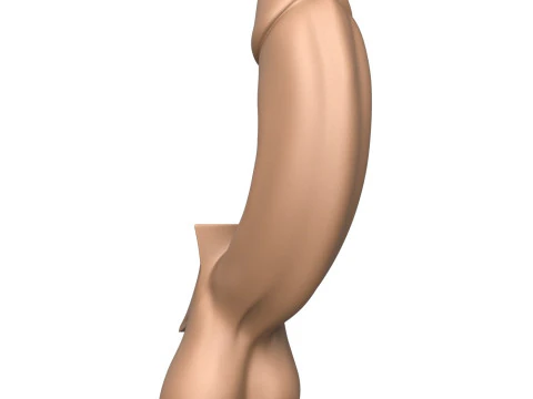 3D Print Ready Full Erect Penis 3D Print Model