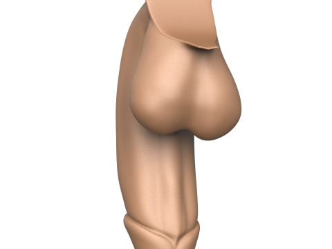 3D Print Ready Monster Penis 3Dプリントモデル