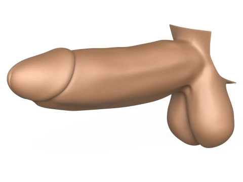3D Print Ready Monster Erect Penis 3D Print Model