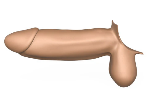 3D Print Ready Monster Erect Penis 3D Print Model