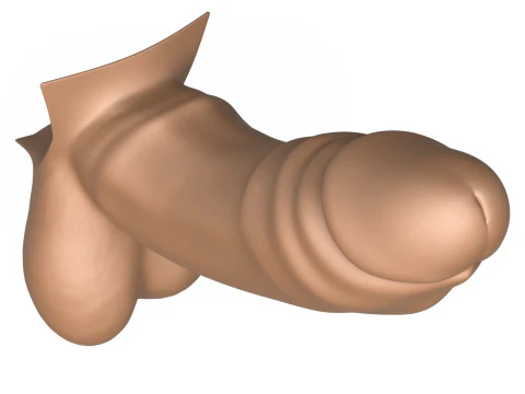 3D プリント対応ビッグ モンスター ペニス 3Dプリントモデル