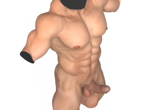 Photorealistic Muscular Man Torso with Penis 3D 모델