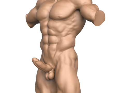 3D Print Ready Muscular Man Torso with Penis Modelo de impresión 3D