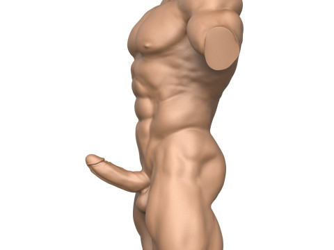 3D Print Ready Muscular Man Torso with Penis Modelo de impresión 3D
