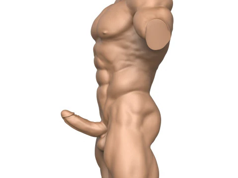 3D 打印带阴茎的肌肉男躯干 3D 打印模型