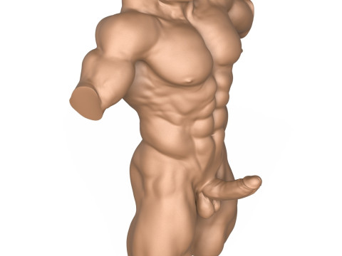 3D Print Ready Muscular Man Torso with Penis Modelo de impresión 3D
