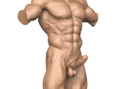 3D Print Ready Muscular Man Torso with Penis Modelo de impresión 3D