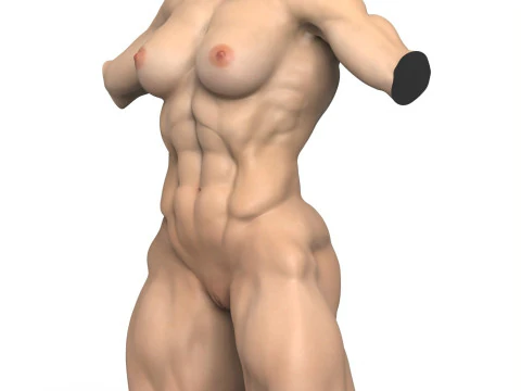 Torse de femme muscl&eacute; photor&eacute;aliste avec vagin Modèle 3D