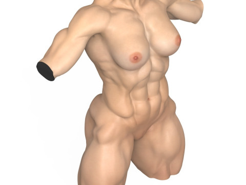 Photorealistic Muscular Woman Torso with Vagina 3D Модель