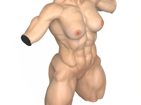 Torse de femme muscl&eacute; photor&eacute;aliste avec vagin Modèle 3D