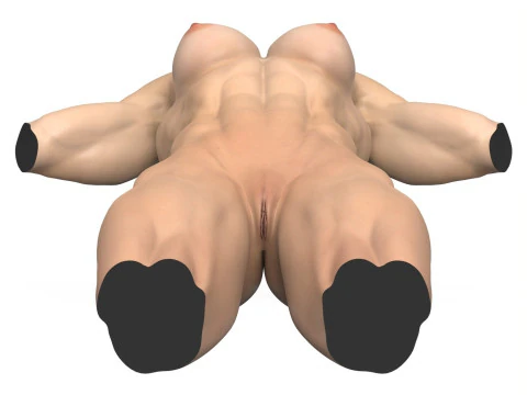 Torse de femme muscl&eacute; photor&eacute;aliste avec vagin Modèle 3D