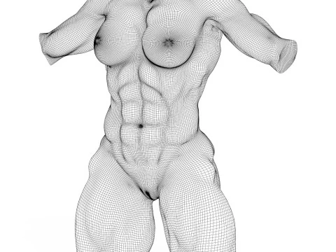 Torse de femme muscl&eacute; photor&eacute;aliste avec vagin Modèle 3D