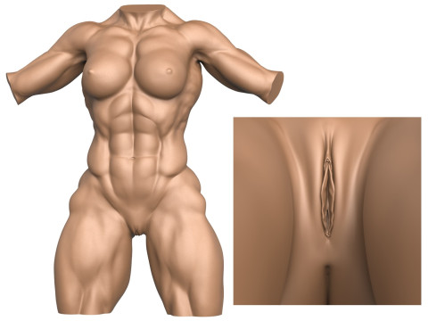 3D Print Ready Muscular Woman Torso with Vagina Modelo de Impressão 3D