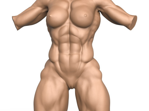 3D Print Ready Muscular Woman Torso with Vagina Modelo de Impressão 3D