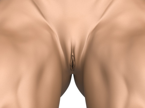 3D Print Ready Muscular Woman Torso with Vagina Modelo de Impressão 3D