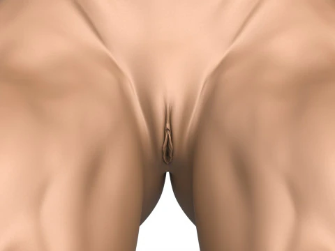 Torso di donna muscoloso pronto per la stampa 3D con vagina Modello di stampa 3D