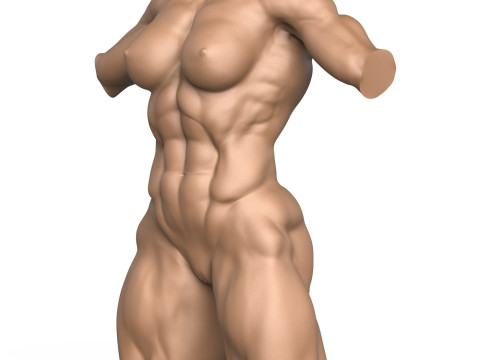 3D Print Ready Muscular Woman Torso with Vagina Modelo de Impressão 3D