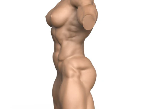 Torso di donna muscoloso pronto per la stampa 3D con vagina Modello di stampa 3D