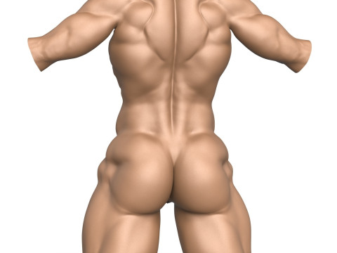 3D Print Ready Muscular Woman Torso with Vagina Modelo de Impressão 3D