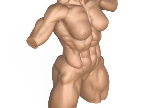 Torso di donna muscoloso pronto per la stampa 3D con vagina Modello di stampa 3D