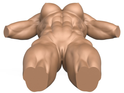 3D Print Ready Muscular Woman Torso with Vagina Modelo de Impressão 3D