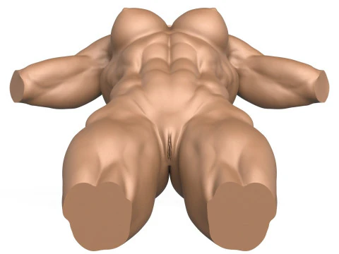 Torso di donna muscoloso pronto per la stampa 3D con vagina Modello di stampa 3D