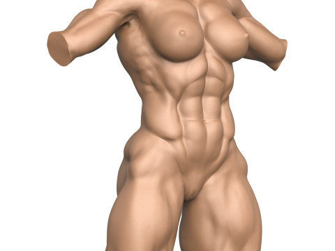 3D Print Ready Muscular Woman Torso with Vagina Modelo de Impressão 3D