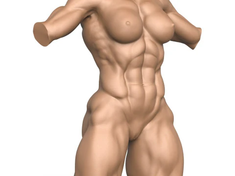 Torso di donna muscoloso pronto per la stampa 3D con vagina Modello di stampa 3D