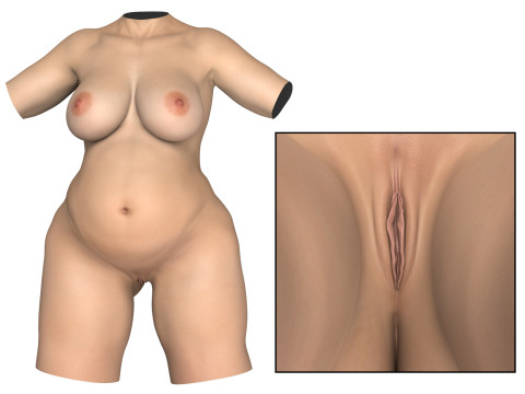 Young Pragnent Woman Torso with Vagina Modello 3D