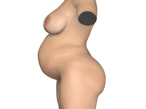Young Pragnent Woman Torso with Vagina Modello 3D