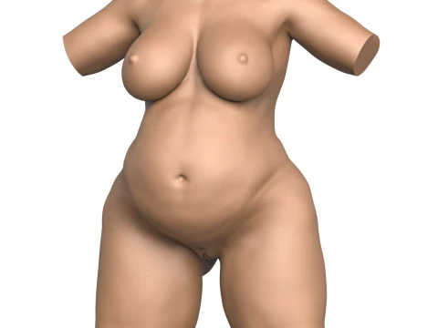 3D-Druckfertiger Torso einer schwangeren Frau mit Vagina 3D Druckmodell