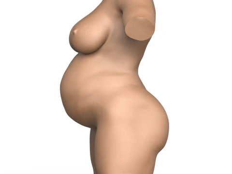 3D-Druckfertiger Torso einer schwangeren Frau mit Vagina 3D Druckmodell