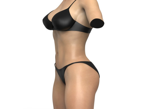 Woman Torso With Cloths and Vagina 3D मॉडल