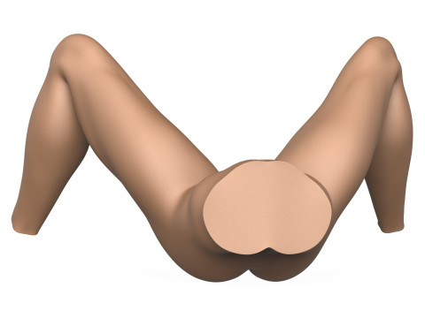 3D Print Ready Female Vagina With Torso 3Dプリントモデル