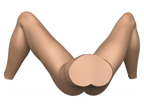 3D Print Ready Female Vagina With Torso 3D Print Model