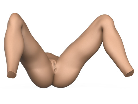 3D Print Ready Female Vagina With Torso 3Dプリントモデル