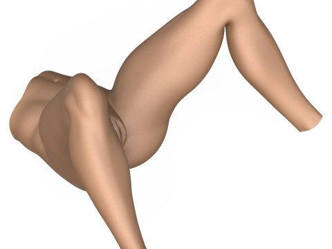 3D Print Ready Female Vagina With Torso 3Dプリントモデル
