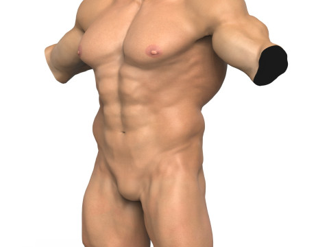 3D Print Ready Muscular Man Torso 3D Model