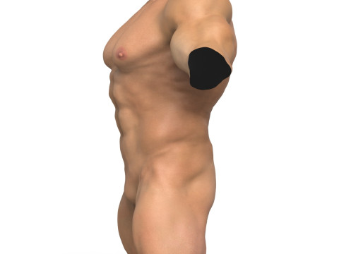 3D Print Ready Muscular Man Torso 3D Model
