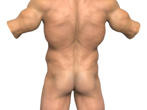 3D Print Ready Muscular Man Torso 3D Model