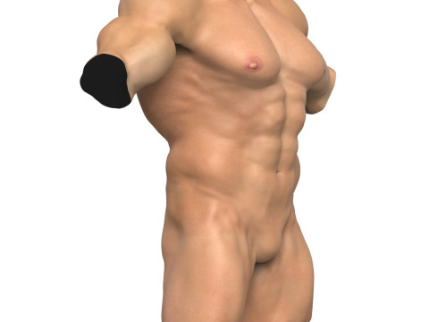 3D Print Ready Muscular Man Torso 3D Model