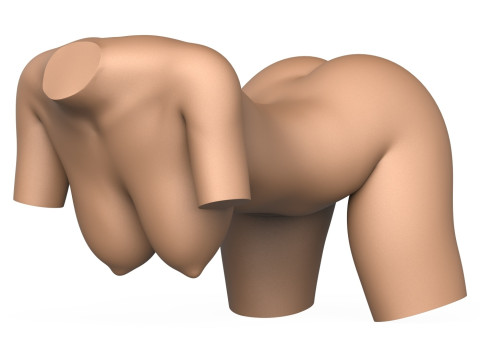 3D Print Ready Female Vagina With Torso 3D Принт Модель